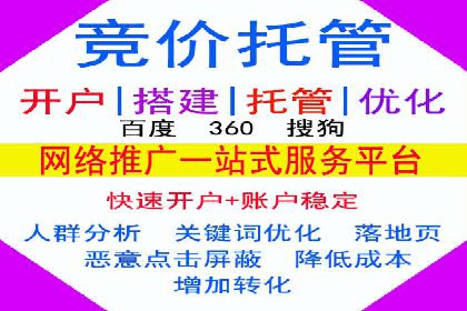 SEM代运营公司案例分析报告